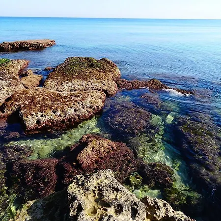 Bed & Breakfast Longo De Bellis