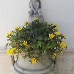 B&B Longo De Bellis 3*