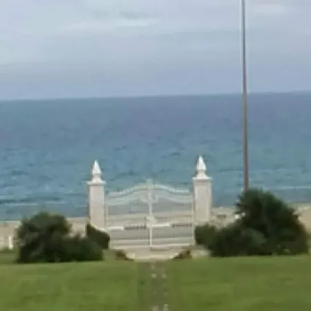 Longo De Bellis