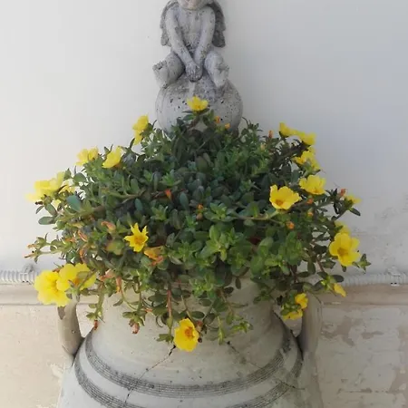 Bed and breakfast Longo De Bellis 3*