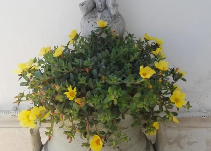 Frühstückspension Longo De Bellis 4*